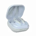 1_80f95ca8-c1bb-4642-a7c8-9f466f2081bd.webp