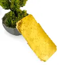 PL17IHOT10PY-1-4 (3).webp