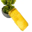 PL17IHOT9PL-1-4 (2).webp