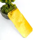 PL17IHOT9PL-1-4 (4).webp