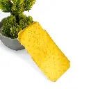 PL17VIS1PR-1-4 (2).webp