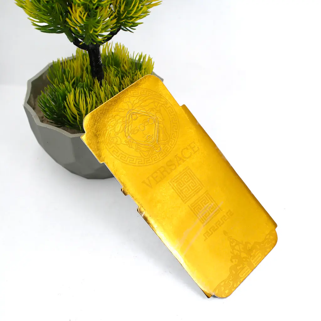 PL17VIS1PR-1-4 (5).webp