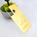 Golden Plated Back Sheet for Tecno Camon 17