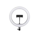BD-360 Ring Fill Light For Selfies, Video Calling 14 Inch