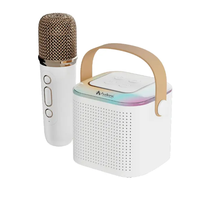 Audionic Boom Box 101 Bluetooth Speaker - High-Quality Wireless Sound
with Mic