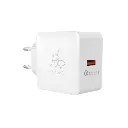 Taar Blaze 18Watt Fast Charger with Type C Cable