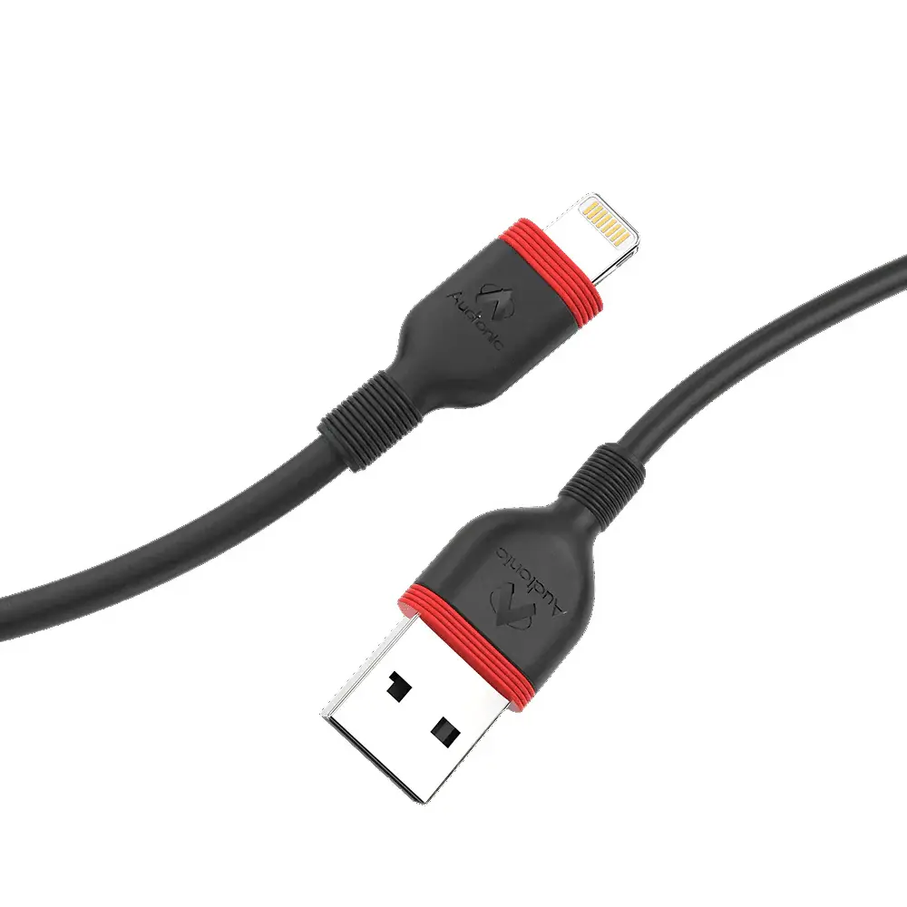 Audionic Roger iPhone Fast Charging Data Cable