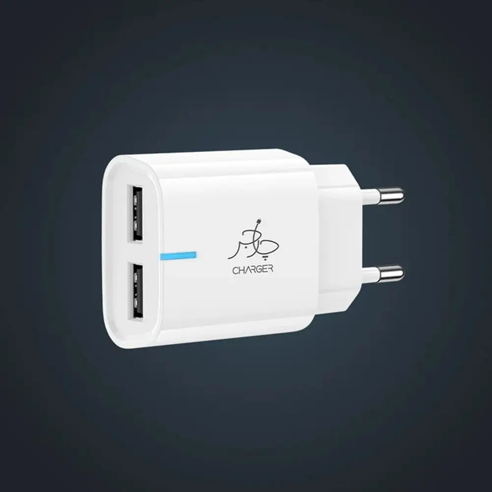 Taar 12W Rapid Duo Fast Charging Adapter with Type-C Cable