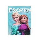 iPad 2,3,4,5 Official Cartoon Book Case (Farozen)
