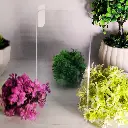 Techno Spark 40 Pro Plus/ Hot 60 Pro Plus G Rhino UV Front Glass Protector