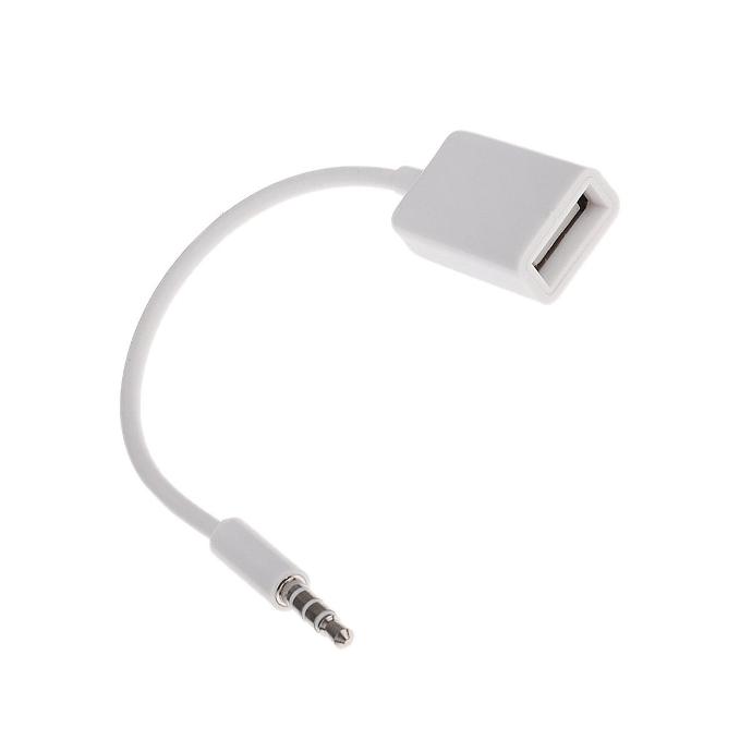 AUX To Female USB Audio Convertor