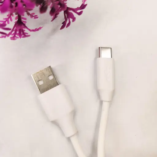 [DCT3LGN9-2] Login L-1947 Type-C Fast Charging Data Cable