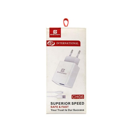 [C1C1T1iT-1] Type-C Sprightly Charger IT Charger